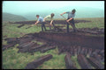 095062 Simon Jones And Sons Cutting Peat In Bwlch y Groes Pass A4 Photo Print