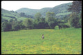 095068 Valley Between Bwlch y Groes Pass And Llanuwchllyn A4 Photo Print