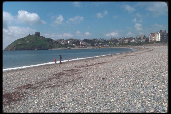 095085 Lleyn Peninsula, Castle And Harbor Of Criccieth A4 Photo Print