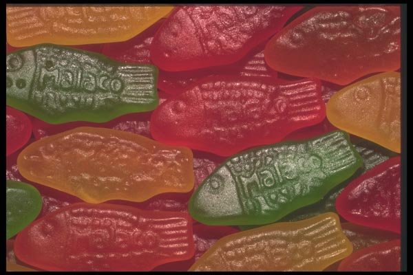 096000 Swedish Fish A4 Photo Print