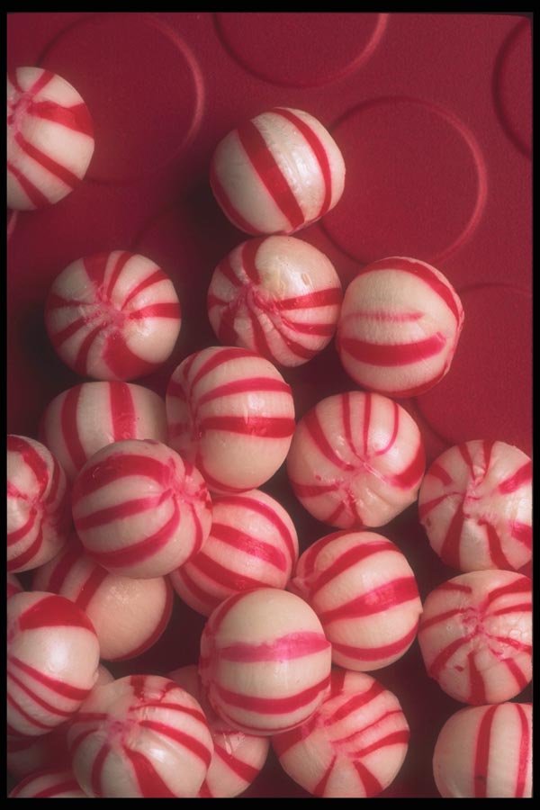 096021 Striped Mints A4 Photo Print