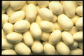 096027 Mints A4 Photo Print