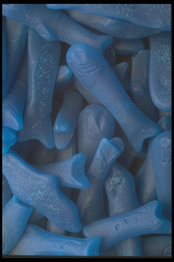 096047 Blue Whales A4 Photo Print