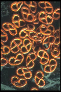 096053 Miniature Pretzels A4 Photo Print