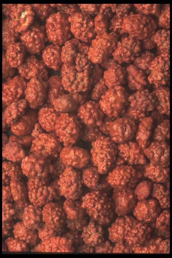 096059 Candied Peanuts A4 Photo Print