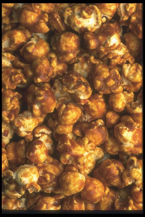 096060 Crackerjack A4 Photo Print