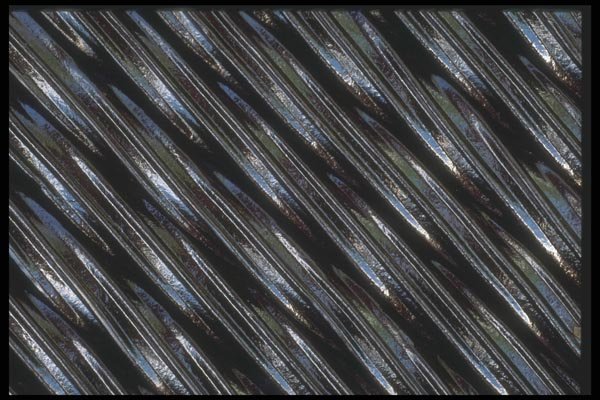 096079 Licorice A4 Photo Print