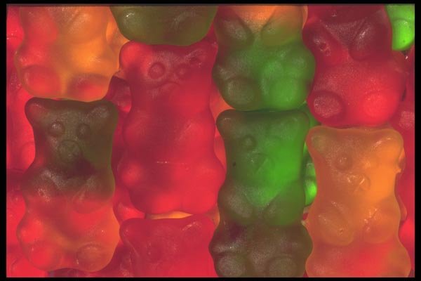 096080 Giant Gummy Bears A4 Photo Print