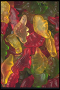 096086 Gummy Dinosaurs A4 Photo Print