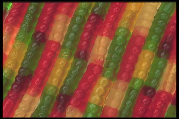 096089 Gummy Worms A4 Photo Print