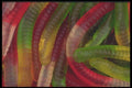 096091 Gummy Worms A4 Photo Print