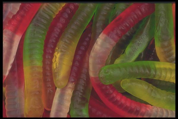 096091 Gummy Worms A4 Photo Print