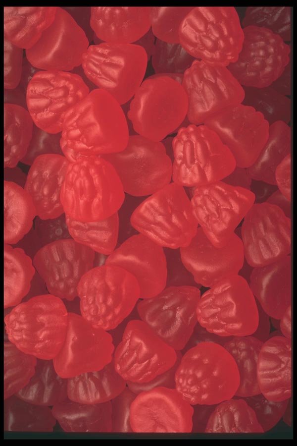 096094 Nordic Berries A4 Photo Print