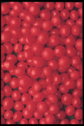 096096 Wintergreen Berries A4 Photo Print