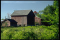097000 Weathered Red Barns A4 Photo Print