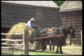 097003 Hay Cart And Horse A4 Photo Print