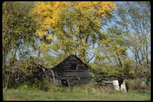 097004 Collapsed Barn Under Fall Foliage A4 Photo Print