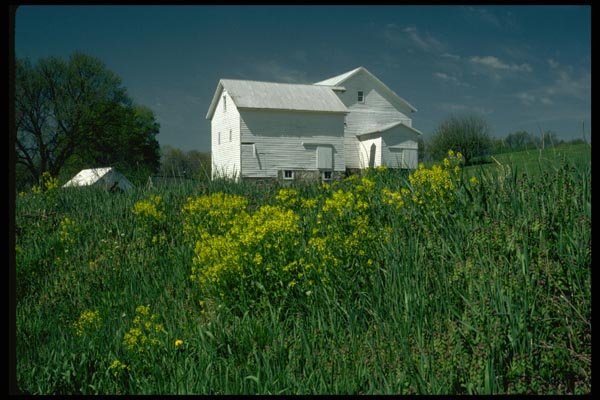 097005 Whitewashed Barn On Hillside A4 Photo Print