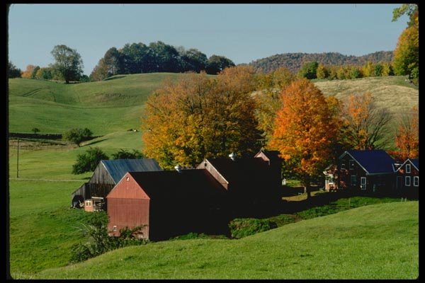 097006 Red Farm Buildings And Red Trees A4 Photo Print