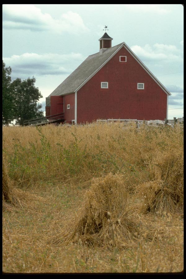 097015 Red Barn With Cupola A4 Photo Print