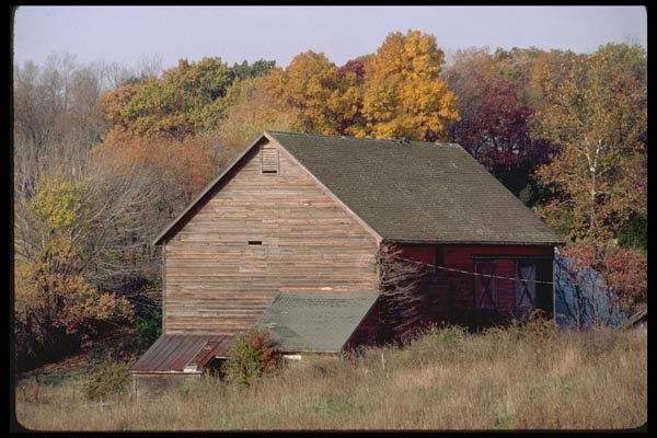 097024 Wood Sided Barn In Fall Foliage A4 Photo Print