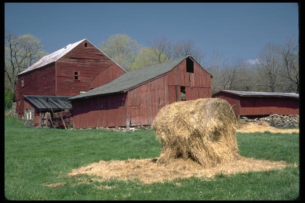 097026 Red Barns And Rolled Hay A4 Photo Print