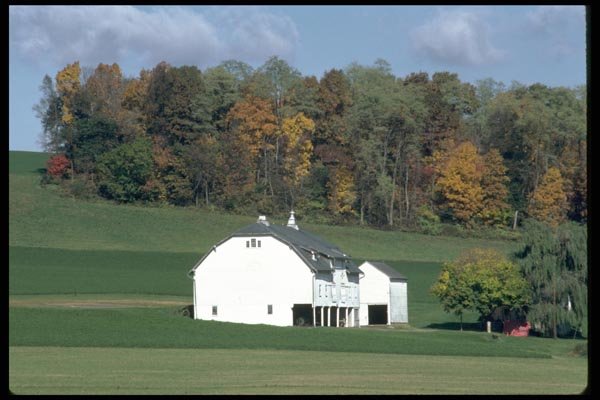 097027 White Barns On Green Hillside A4 Photo Print