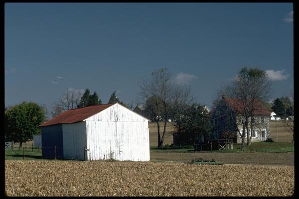 097031 Farm Buildings In Fall A4 Photo Print