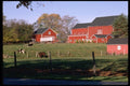 097036 Red Barns, Truck And Farm Animals A4 Photo Print