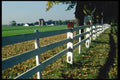 097038 Big Farm From White Fence A4 Photo Print