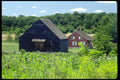 097042 Small Country Farmhouse And Barn A4 Photo Print