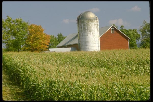 097043 Red Barn And Silo With Field Crop A4 Photo Print