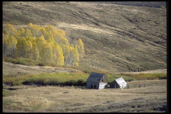 097045 Small Outbuildings In Gully A4 Photo Print