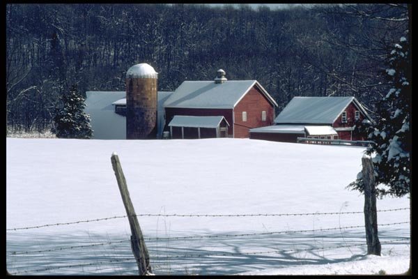 097052 Red Barns In Snow From Barbed Wire Fence A4 Photo Print