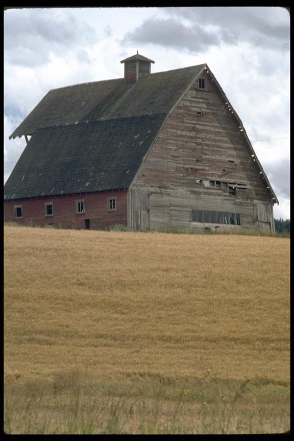097054 Large Old Peaked Barn A4 Photo Print