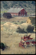 097056 Barn, Hay, Old Farm Implements A4 Photo Print