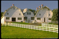 097059 White Gambrel Barns With White Fence A4 Photo Print