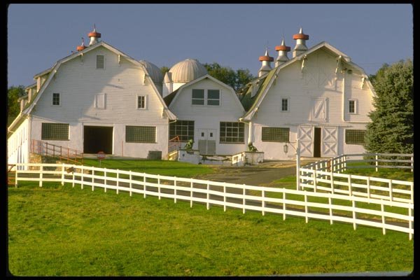 097059 White Gambrel Barns With White Fence A4 Photo Print