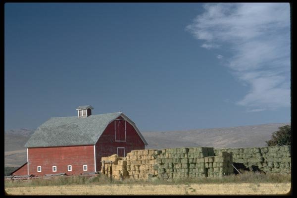 097061 Barn With Green And Yellow Hay Bales A4 Photo Print