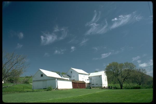 097064 White Barns On Green Knoll A4 Photo Print