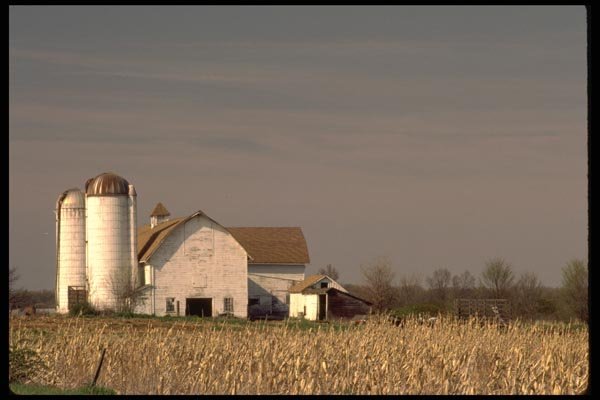 097065 White Barn At Sunset A4 Photo Print