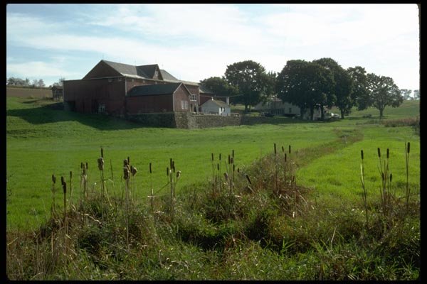 097066 Farm Buildings From Cattails A4 Photo Print