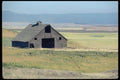 097069 Old Barn In Oregon Wheat Land A4 Photo Print