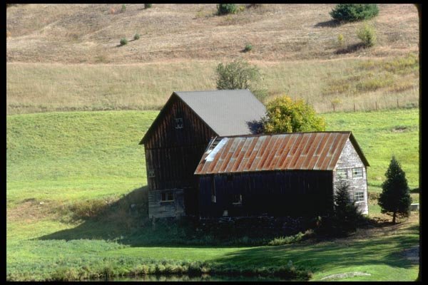 097070 Old Farm Buildings Near Pond A4 Photo Print