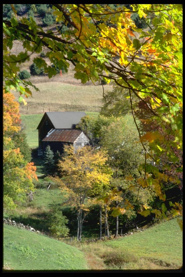 097071 Vermont Farm Framed With Fall Foliage A4 Photo Print