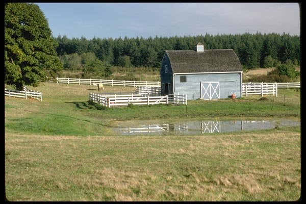 097076 Small Blue Horse Barn A4 Photo Print