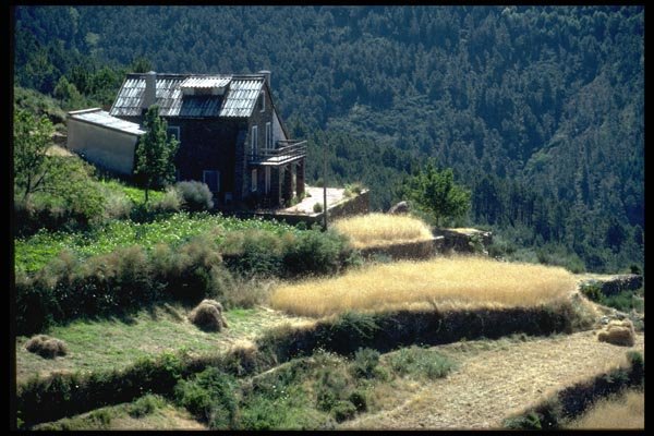 097077 Rustic House On Terraced Hillside A4 Photo Print
