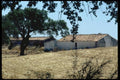 097079 Tile Roofed Portuguese Farm A4 Photo Print