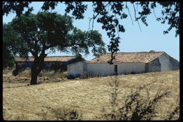 097079 Tile Roofed Portuguese Farm A4 Photo Print