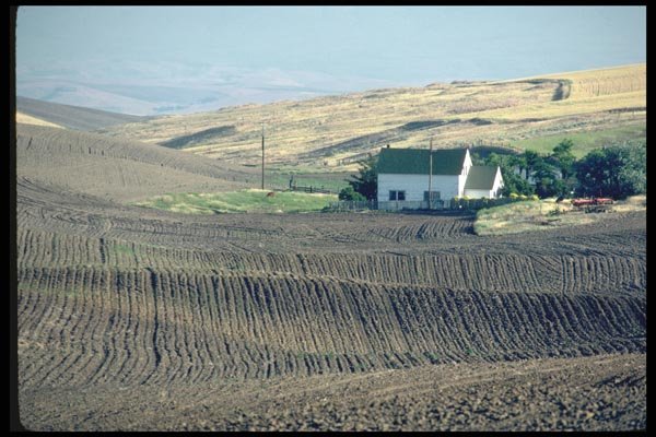 097087 Farmhouse In Wheat Country A4 Photo Print